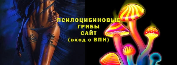 экстази Арсеньев