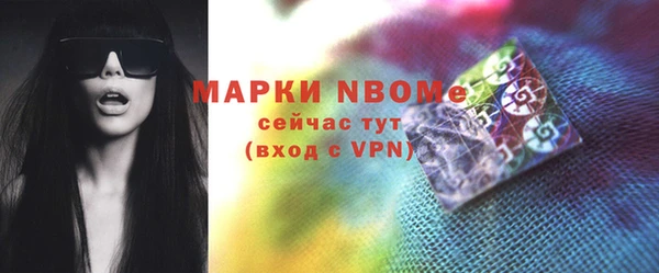 сатива Аркадак